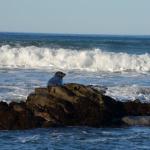 cambria2012CN_0080 (November 04, 2012)